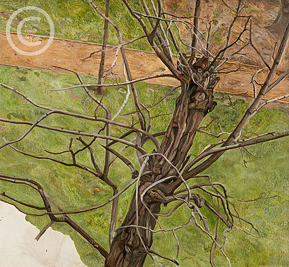Lucian Freud "Acacia" 1975 Oil on Canvas 45cmx51cm