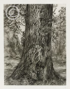 Lucian Freud Etchings 2000's