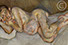 &nbsp;"Before the Fourth" 2004 Oil on Canvas 10.2cmx15.2cm
