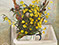 Lucian Freud "Buttercups" 1968 Oil on Canvas 61cmx61cm