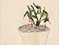 Lucian Freud 'Cactus' c1930 Crayon on paper 14.5cmx14cm