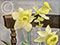 Lucian Freud "Daffodils and Celery"&nbsp; 1946&nbsp; Oil on Canvas&nbsp; 43.1cm x 33cm