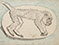 Lucian Freud 'Dead Monkey on a Dish' 1943 Ink and Crayon on Paper 20.3cmx33cm