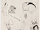 Lucian Freud 'Doodle Studies' 1943 Ink on Paper 40cmx48cm