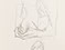 Lucian Freud 'Drawings of a Model (ll)' c2001 Pencil on paper 41cm x 28.5cm