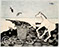 Lucian Freud 'Horse on a Beach' 1944 Lithograph with Crayon 48.2cmx42cm