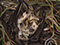 Lucian Freud "Landscape with Bat" 1980 Oil on Canvas 22.2cm x 16cm