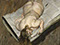 "Night Portrait, Face Down." 1999-2000 Oil on Canvas 151cmx156cm