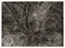 Lucian Freud "Painter's Garden" 2003-2004 Etching (ed of 46) 63.5cmx86.8cm