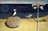 Lucian Freud "Scillonian Beachscape"&nbsp; 1945-1946&nbsp;&nbsp; Oil on Canvas&nbsp;&nbsp; 49cm x 75cm 