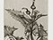 Lucian Freud "Thistle" 1985 Etching (ed of 30) 17cmx13.5cm