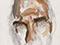 "Unfinished Portrait of Harold Pinter" 2007 Oil on Canvas 27cmx20cm