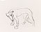 Lucian Freud 'Young Whippet' c1990 Pencil on paper 26.4cmx24.3cm